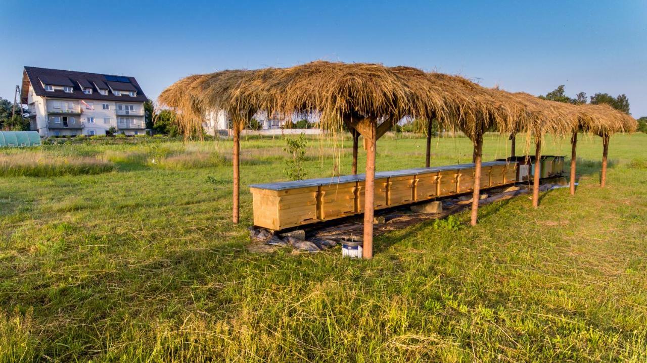 Agroturystyka Sikorki Lubomierz  Exteriér fotografie